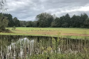 11221 Bristersburg Rd, Catlett, VA 20119 - Photo 63