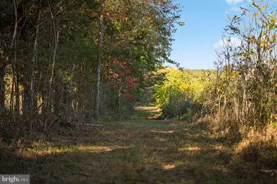 11221 Bristersburg Road, Catlett, VA 20119 - Photo 69