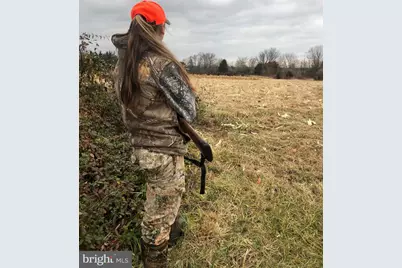 11221 Bristersburg Road, Catlett, VA 20119 - Photo 67