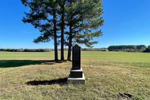 11221 Bristersburg Rd, Catlett, VA 20119 - Photo 101