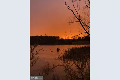 11221 Bristersburg Road, Catlett, VA 20119 - Photo 109