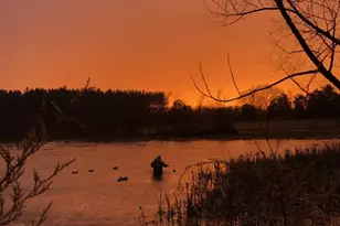 11221 Bristersburg Rd, Catlett, VA 20119 - Photo 109