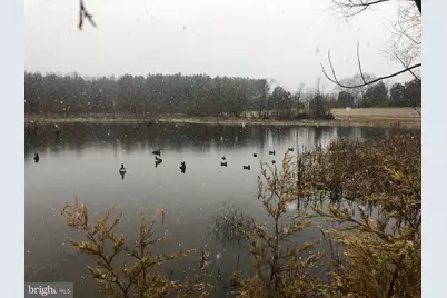 11221 Bristersburg Road, Catlett, VA 20119 - Photo 61