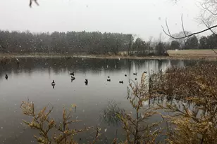 11221 Bristersburg Rd, Catlett, VA 20119 - Photo 61