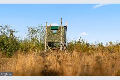 11221 Bristersburg Road, Catlett, VA 20119 - Photo 71