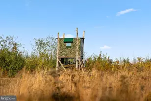 11221 Bristersburg Rd, Catlett, VA 20119 - Photo 71