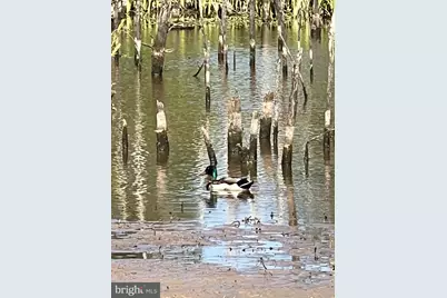 11221 Bristersburg Road, Catlett, VA 20119 - Photo 65