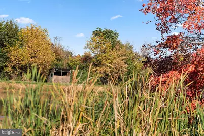 11221 Bristersburg Road, Catlett, VA 20119 - Photo 17