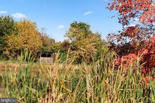 11221 Bristersburg Rd, Catlett, VA 20119 - Photo 17