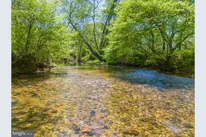 Thumb Run Road, Orlean, VA 20128 - Photo 5