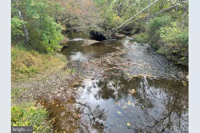 Thumb Run Road, Orlean, VA 20128 - Photo 7
