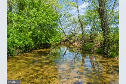 Thumb Run Road, Orlean, VA 20128 - Photo 3