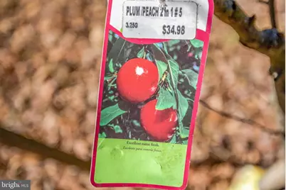 8016 Shipmadilly Lane, Warrenton, VA 20186 - Photo 35