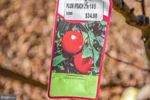 8016 Shipmadilly Ln, Warrenton, VA 20186 - Photo 35