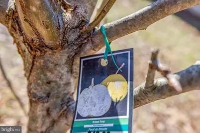 8016 Shipmadilly Lane, Warrenton, VA 20186 - Photo 37