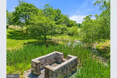 9425 Blackpond Lane, Delaplane, VA 20144 - Photo 101