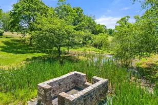 9425 Blackpond Ln, Delaplane, VA 20144 - Photo 101