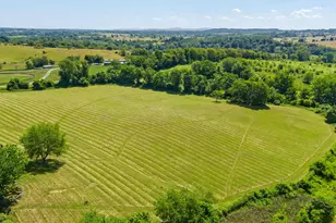 9425 Blackpond Ln, Delaplane, VA 20144 - Photo 99