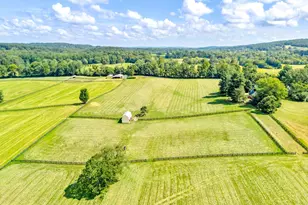 3418 Halfway Rd, The Plains, VA 20198 - Photo 75