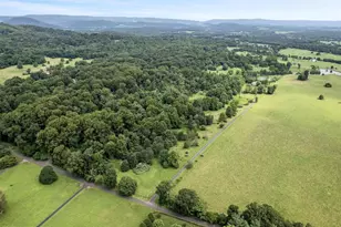 3959 Cobbler Mountain Rd, Delaplane, VA 20144 - Photo 105