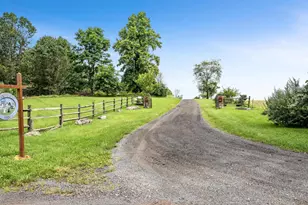 3959 Cobbler Mountain Rd, Delaplane, VA 20144 - Photo 91