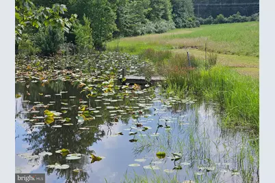 11145 Brent Town Road, Catlett, VA 20119 - Photo 49