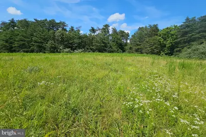 11145 Brent Town Road, Catlett, VA 20119 - Photo 35