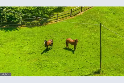 9467 Old Waterloo Road, Warrenton, VA 20186 - Photo 5