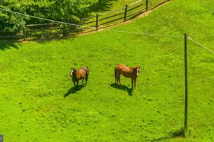 9467 Old Waterloo Rd, Warrenton, VA 20186 - Photo 5