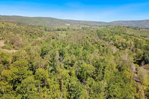 Blue Ridge - Leeds Manor Rd, Delaplane, VA 20144 - Photo 1