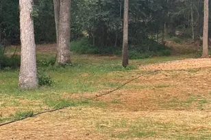 9653 Woodbrook Ln, Midland, VA 22728 - Photo 61