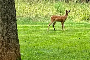 7038 Beaconsfield Ln, Warrenton, VA 20187 - Photo 19