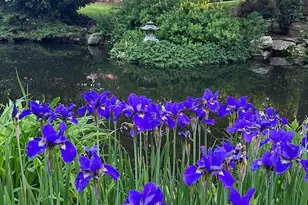 7263 Little River Ln, The Plains, VA 20198 - Photo 59