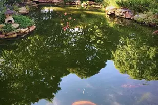 7263 Little River Ln, The Plains, VA 20198 - Photo 65