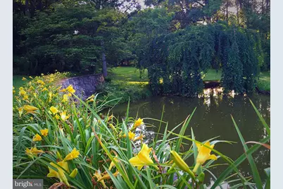 7263 Little River Lane, The Plains, VA 20198 - Photo 61