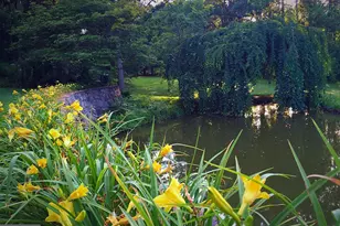 7263 Little River Ln, The Plains, VA 20198 - Photo 61