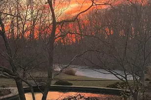 7263 Little River Ln, The Plains, VA 20198 - Photo 55