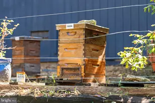 3225 Sage Rd, Markham, VA 22643 - Photo 45