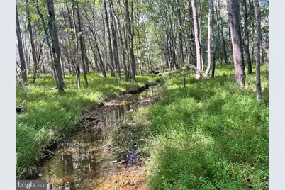 7329 Riley Road, Warrenton, VA 20187 - Photo 69