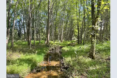 7329 Riley Road, Warrenton, VA 20187 - Photo 7