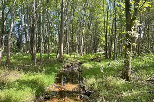 7329 Riley Rd, Warrenton, VA 20187 - Photo 7