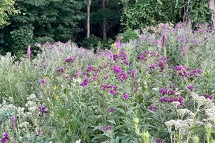 9178 Hannah Dustin, Casanova, VA 20139 - Photo 51