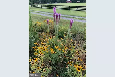 9178 Hannah Dustin, Casanova, VA 20139 - Photo 51