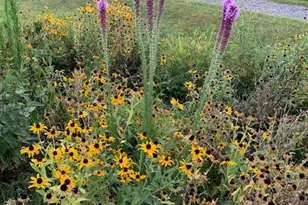 9178 Hannah Dustin, Casanova, VA 20139 - Photo 51
