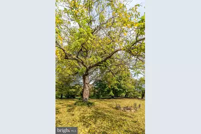 5024 Leeds Manor Road, Hume, VA 22639 - Photo 11