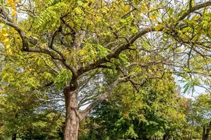 5024 Leeds Manor Rd, Hume, VA 22639 - Photo 11