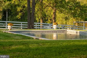 1787 Light Horse Ln, Delaplane, VA 20144 - Photo 43