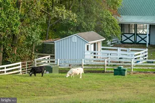 1787 Light Horse Ln, Delaplane, VA 20144 - Photo 49