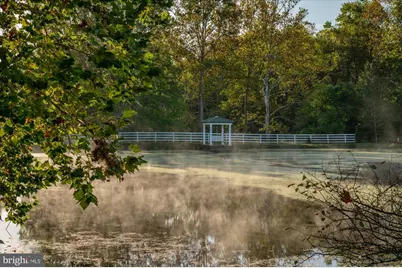 1787 Light Horse Lane, Delaplane, VA 20144 - Photo 49