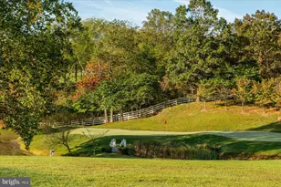 1787 Light Horse Ln, Delaplane, VA 20144 - Photo 53